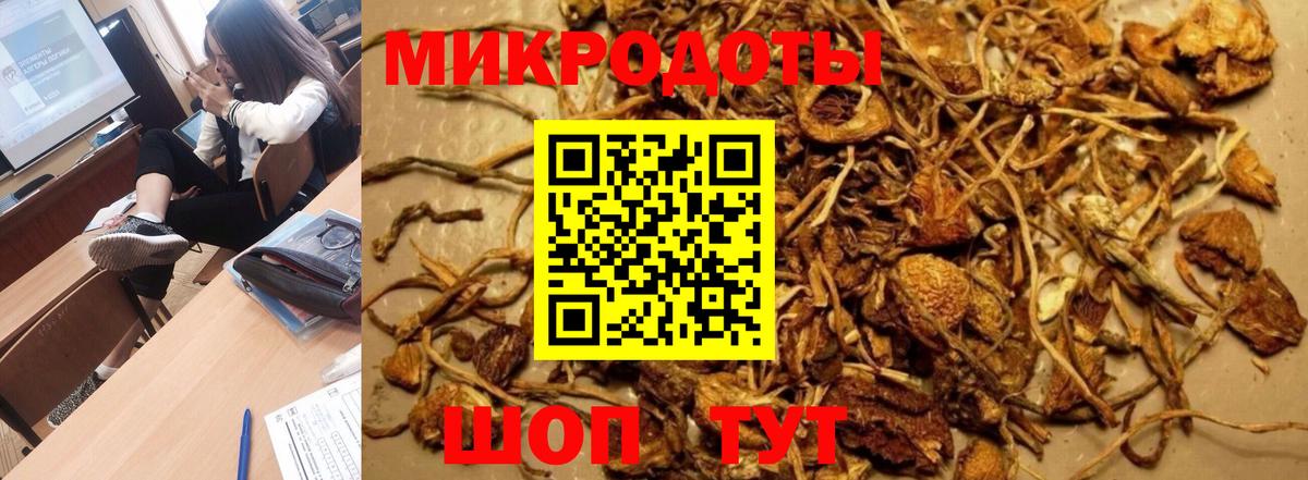 Галлюциногенные грибы Psilocybe Черняховск